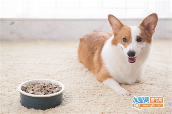 比趣宠物用品加盟