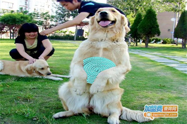 来宝宠物用品加盟