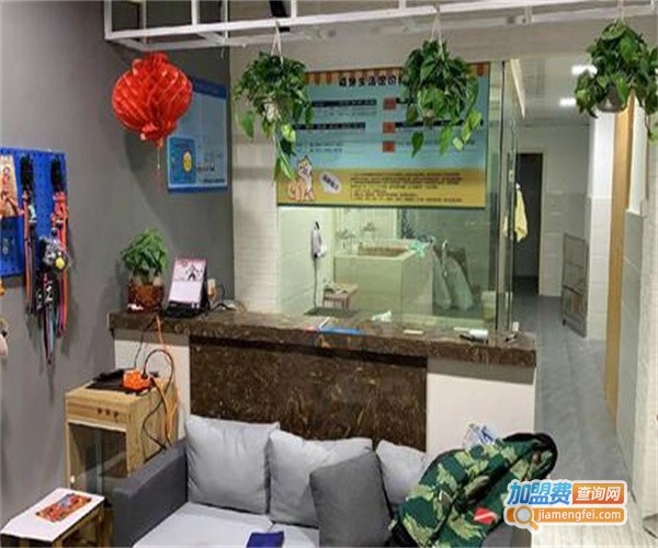 上海宠物店加盟费