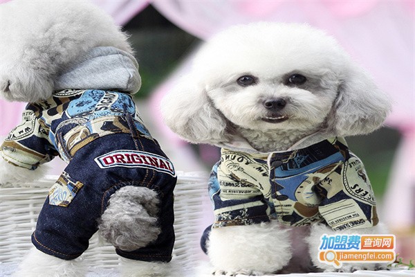 智达宠物用品加盟费