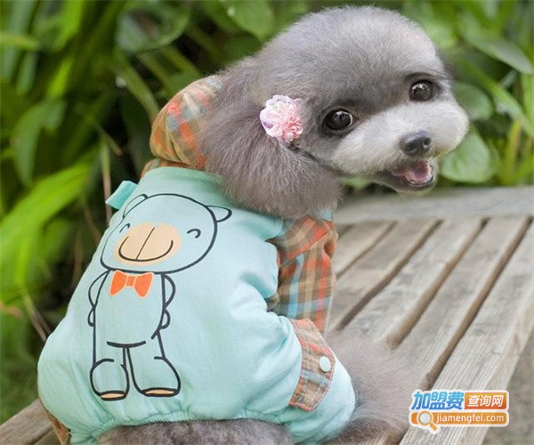 贝琪宠物用品加盟费