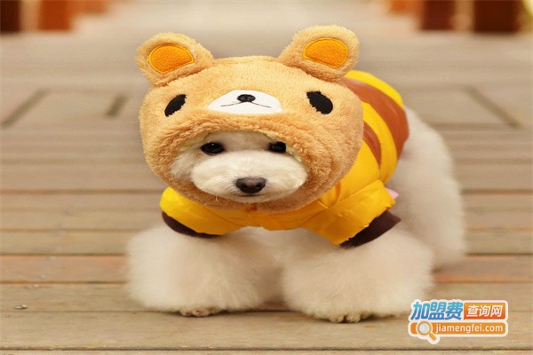 家乐宠物用品加盟