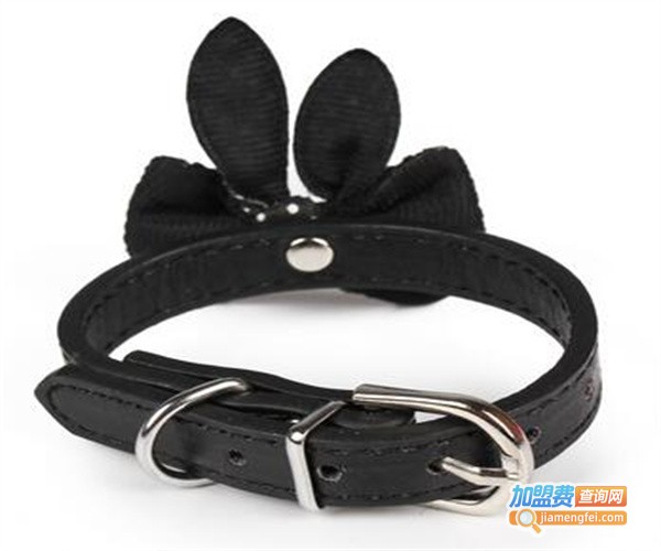 迪鑫宠物用品加盟费