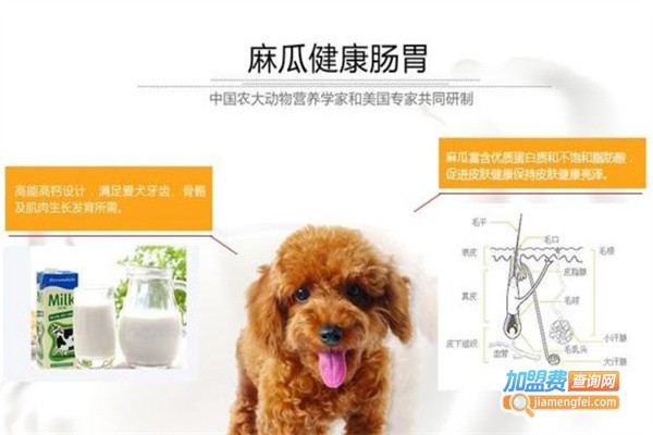 麻瓜宠物用品加盟