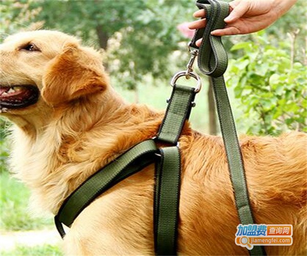 爱贝雅宠物用品加盟费