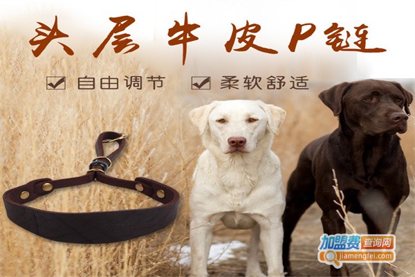 自由犬宠物用品加盟