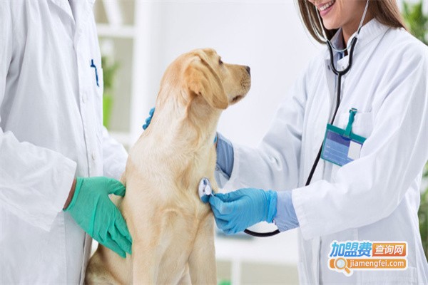 康犬宠物诊所加盟