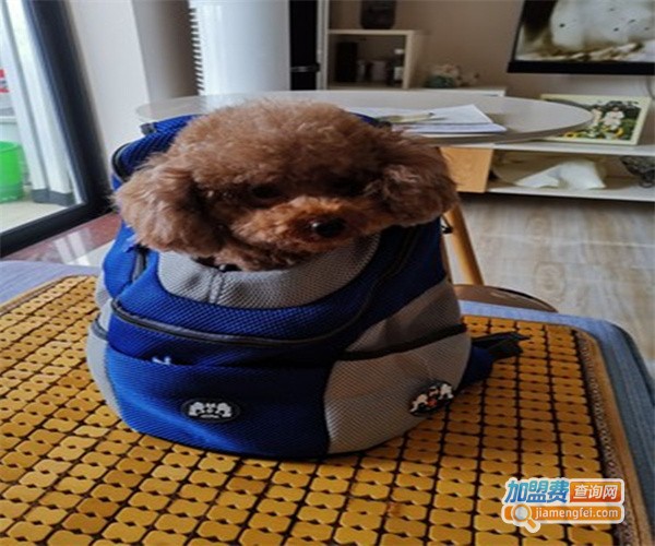 锦文宠物用品加盟费