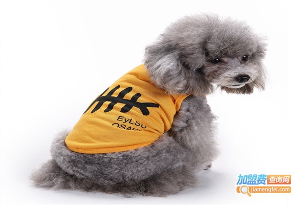 骆列聪宠物用品加盟