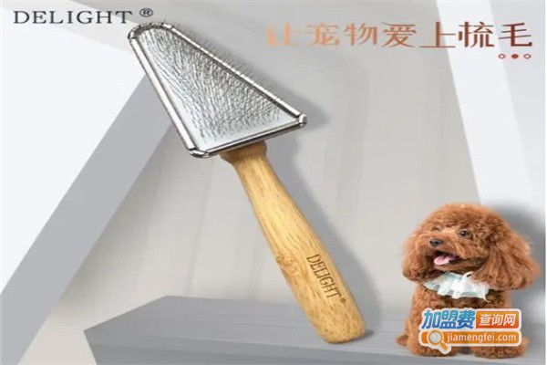 船记宠物用品加盟