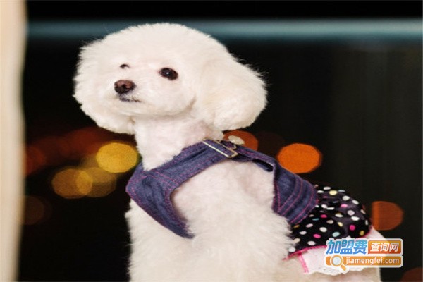 艾达宠物用品加盟