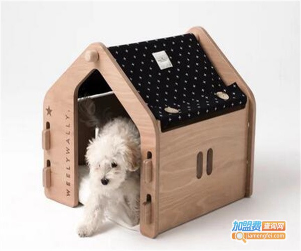 灵感宠物用品加盟费