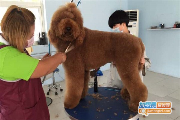 芭芭拉宠物用品加盟