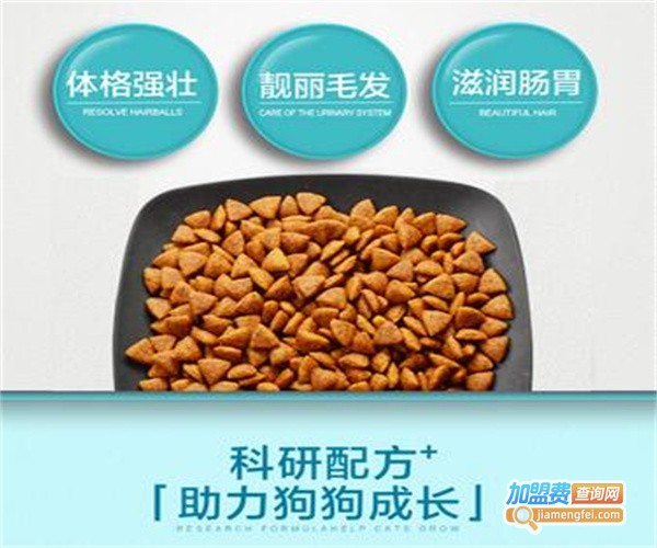 派得宠物用品加盟费