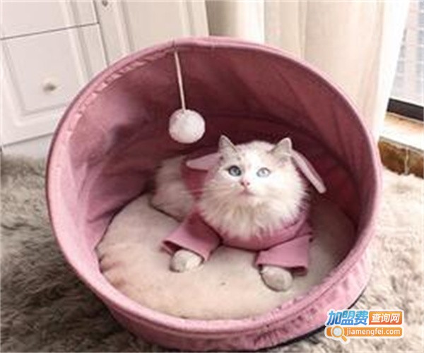 鑫派宠物用品加盟费