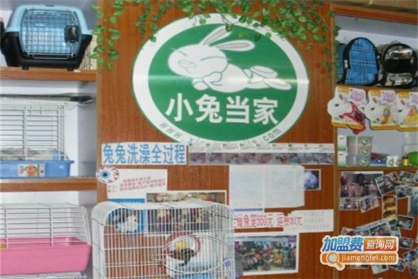 小兔当家宠物店加盟