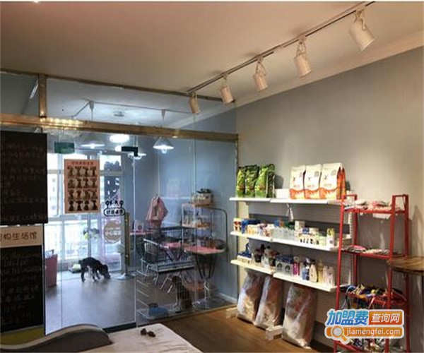 NEKO宠物护理生活馆加盟费