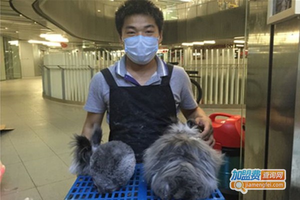 小兔当家宠物店加盟
