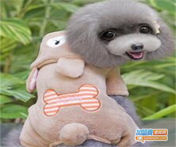 派特宠物用品加盟费