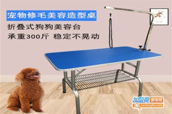 振耀宠物用品加盟