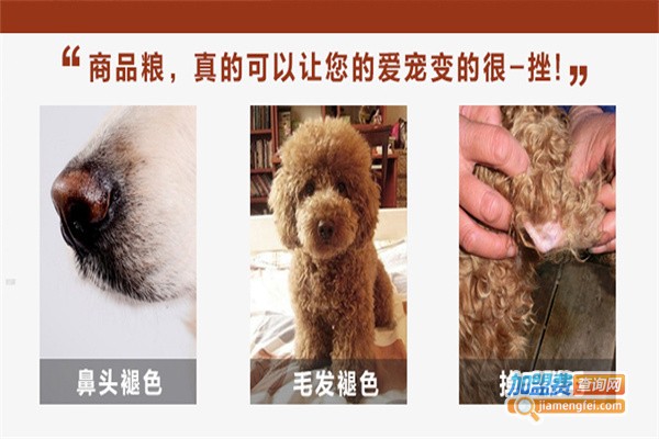 莱西宠物用品加盟