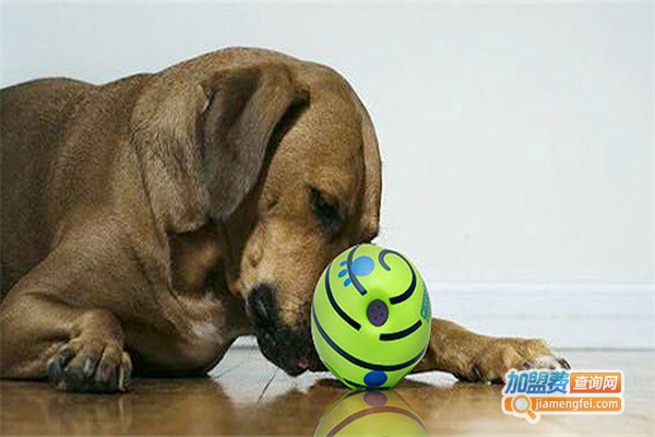 荣卉宠物用品加盟