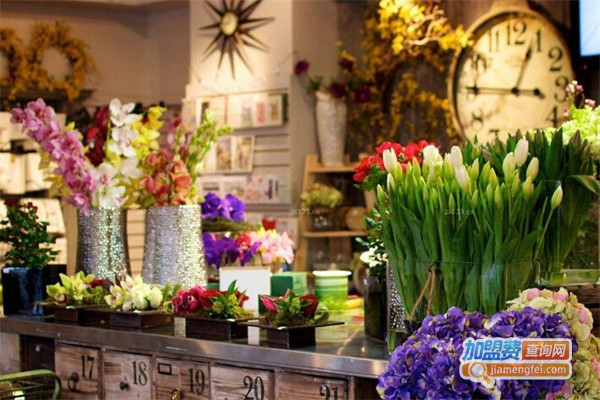 风精灵鲜花店加盟