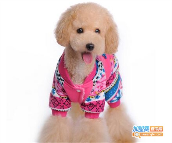 派特宠物用品加盟费