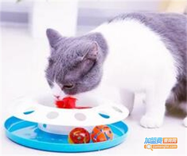 波奇宠物用品加盟费