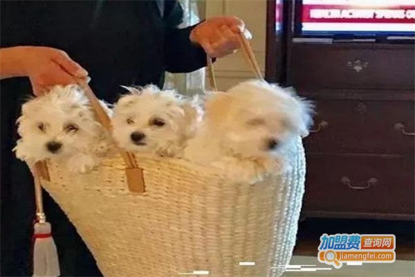 芭芭拉宠物用品加盟