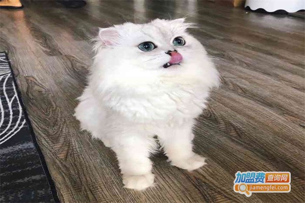 芭芭拉宠物用品加盟