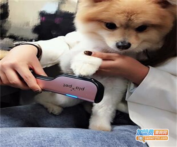 爱宠宠物用品加盟费