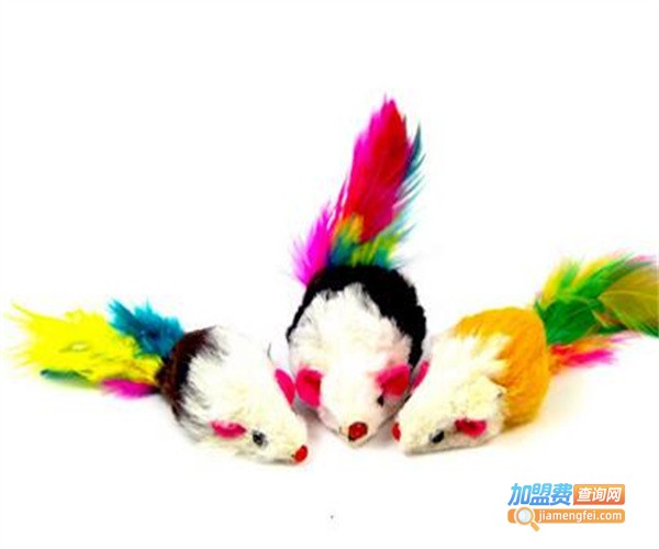 添宝宠物用品加盟费