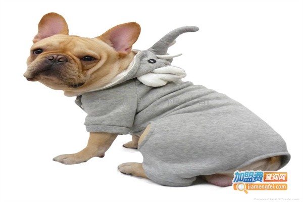 酷狗宠物用品加盟