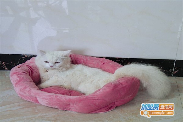 道格宠物用品加盟