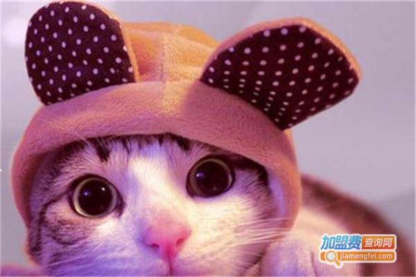 巴米哥宠物用品加盟