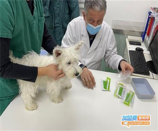 贝克和史东宠物医院加盟费