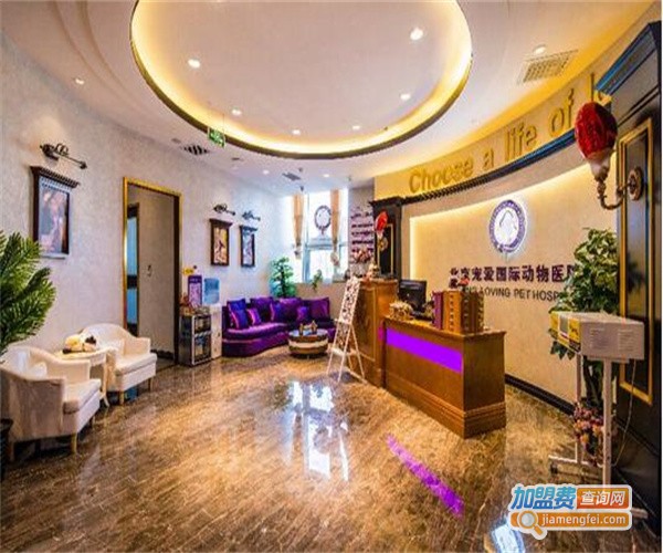 宠爱国际宠物医疗加盟费