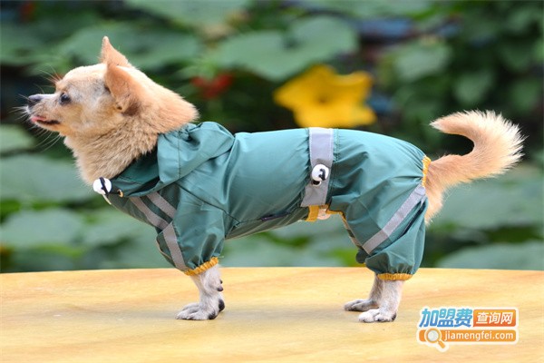 自由犬宠物用品加盟