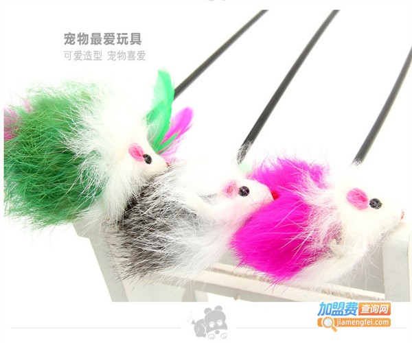 鑫高宠物用品加盟费