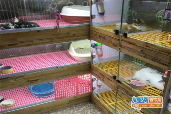 小兔当家宠物店加盟