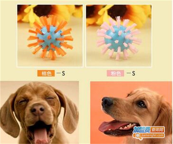 宝丽宠物用品加盟费