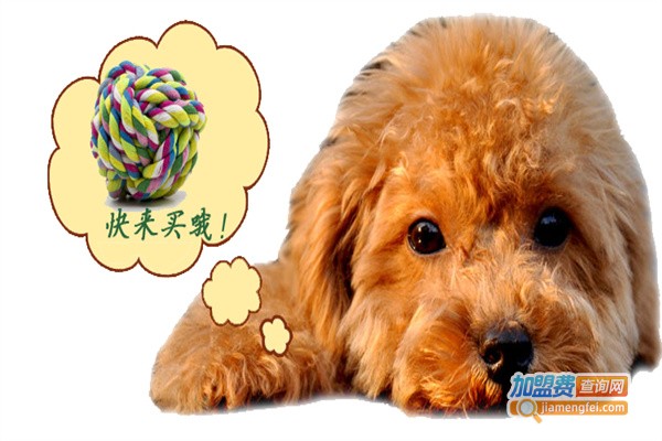 笨笨熊宠物用品加盟