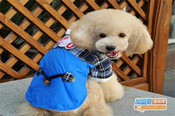 福多宠物用品加盟