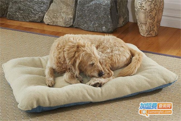 益宠宠物用品加盟