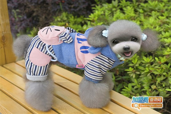 呆萌宠物用品加盟