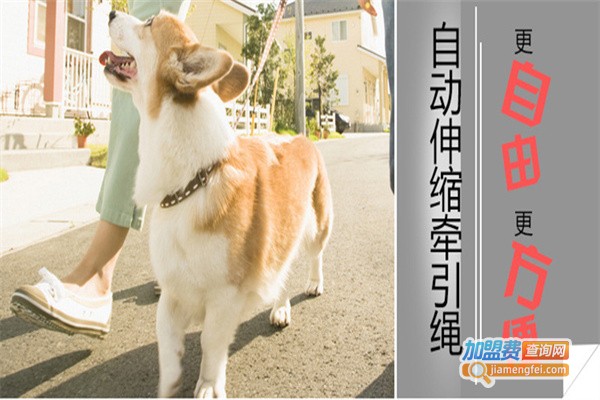 美艾斯宠物用品加盟