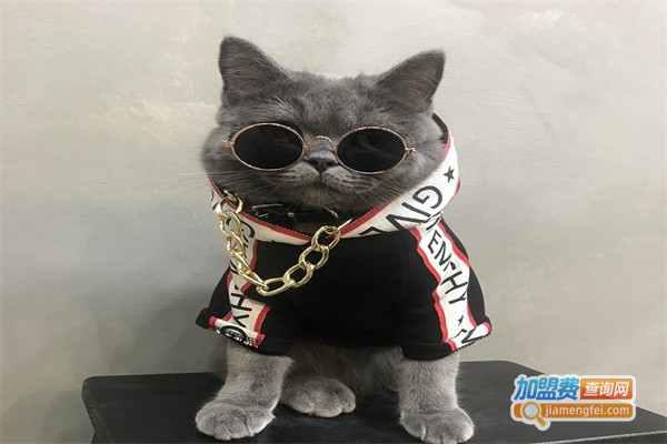 福多宠物用品加盟