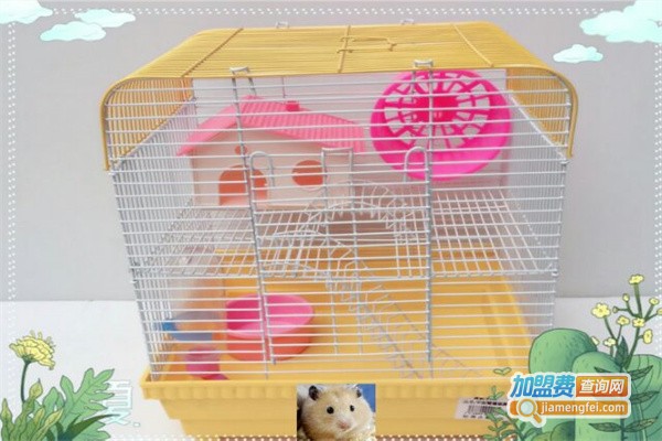 美艾斯宠物用品加盟