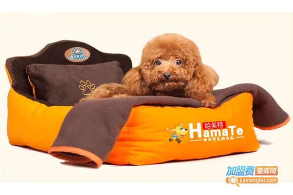 哈美特宠物用品加盟